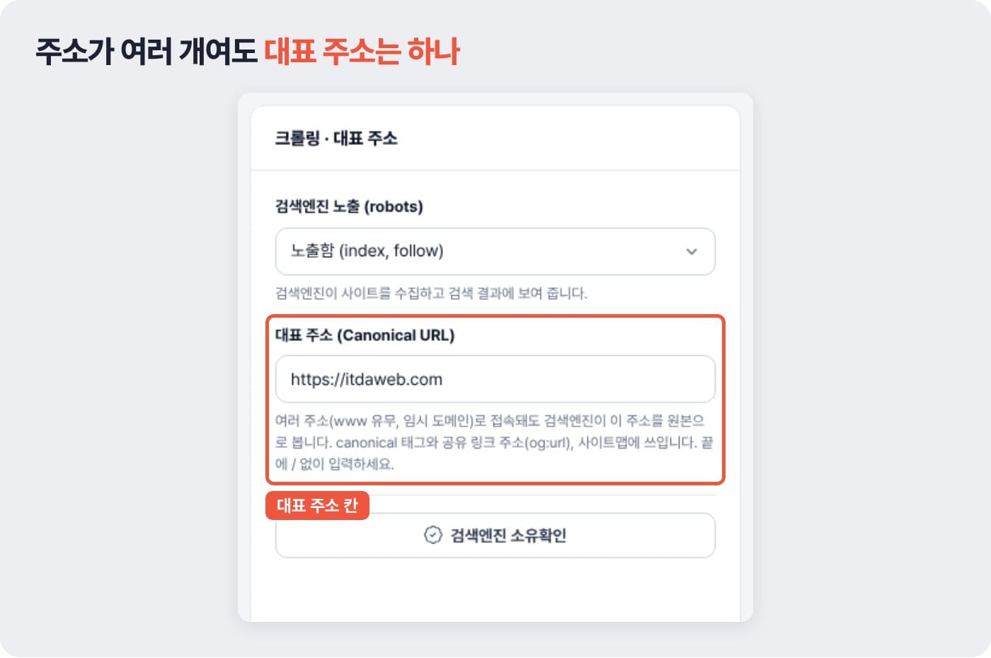 홈페이지 관리자 페이지에서 여러 주소로 접속돼도 원본으로 볼 대표 주소를 정하는 칸 예시 ©잇다웹
