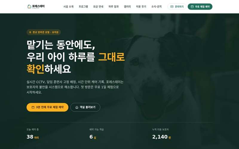 반려동물 템플릿